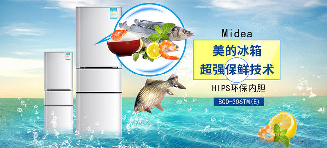 查尔斯达尔文大学成绩单电子图
